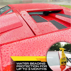 Carnauba Fast Wax